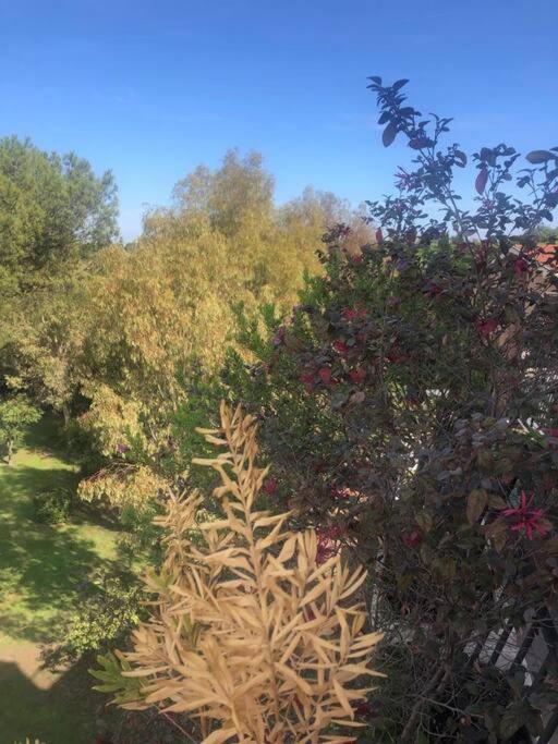Villa Casa Incantevole Con Vista Parco Appia Antica Rom Exterior foto